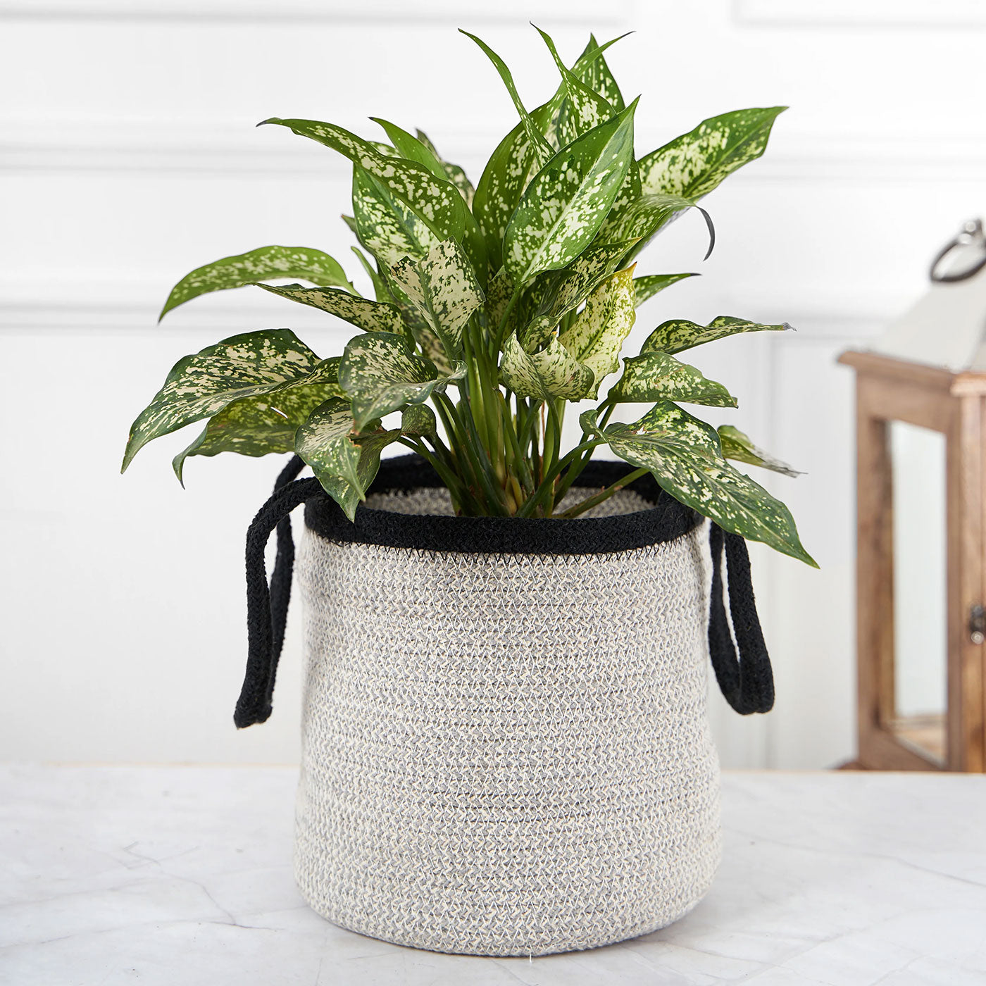 Designer Grey & Black Braided Cotton Planter/Basket With Handle
