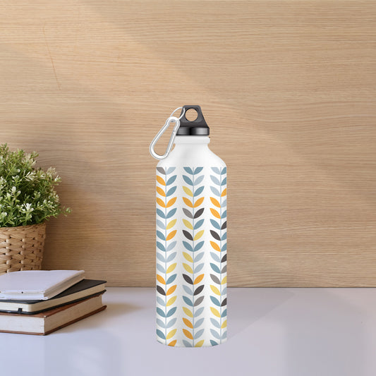 Stainless Steel Water Bottle for Men & Women & Kids