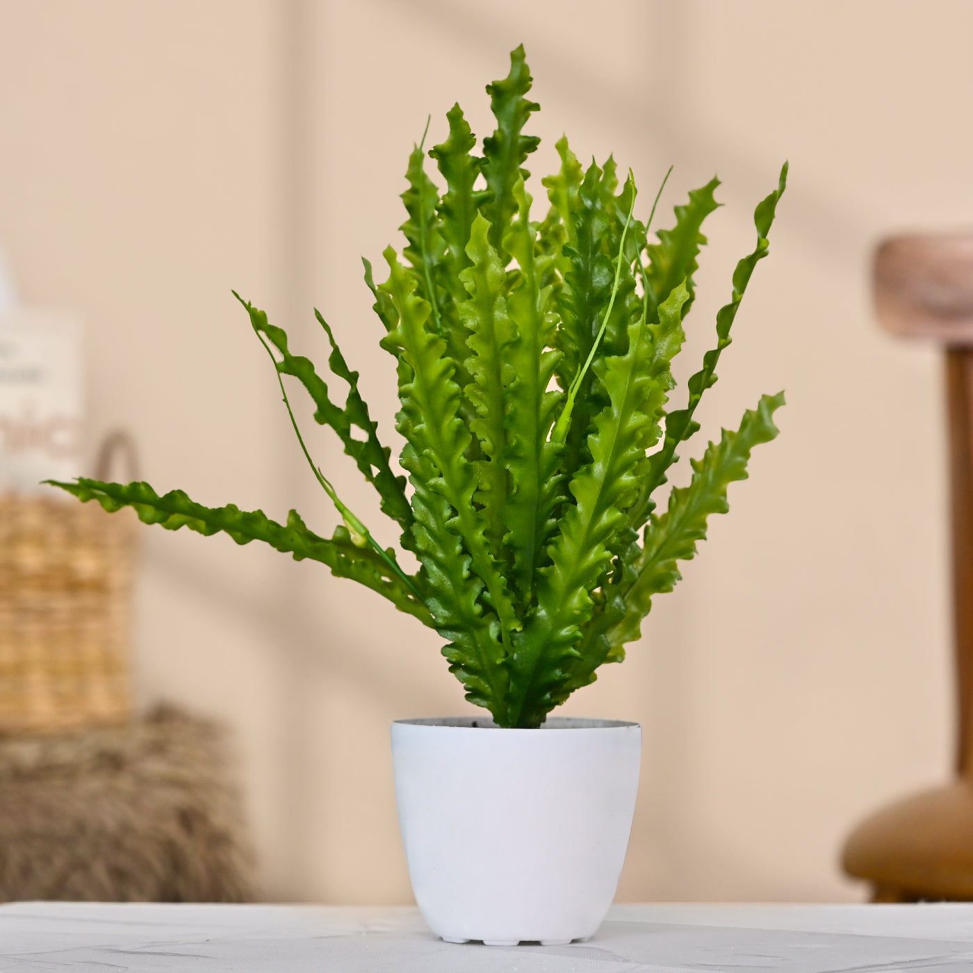 Set of 1 Artificial Plants with Pot