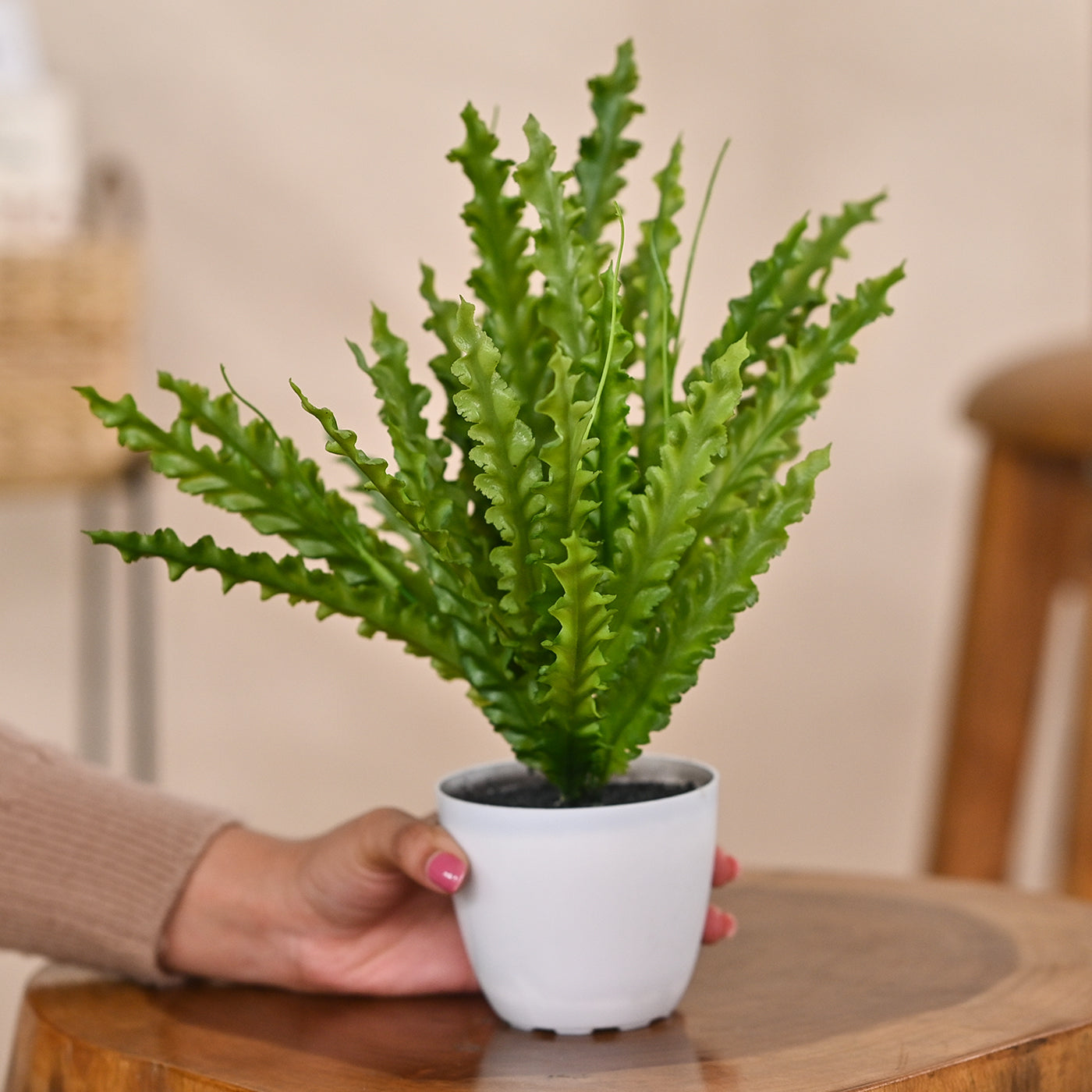 Set of 1 Artificial Plants with Pot