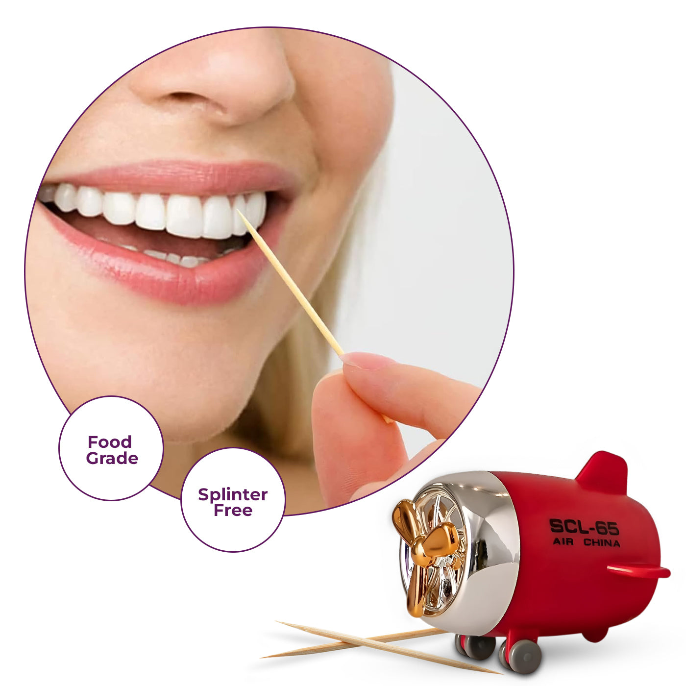 Plastic Toothpick Dispenser with 350 Toothpicks for Kitchen & Restaurant (Red)