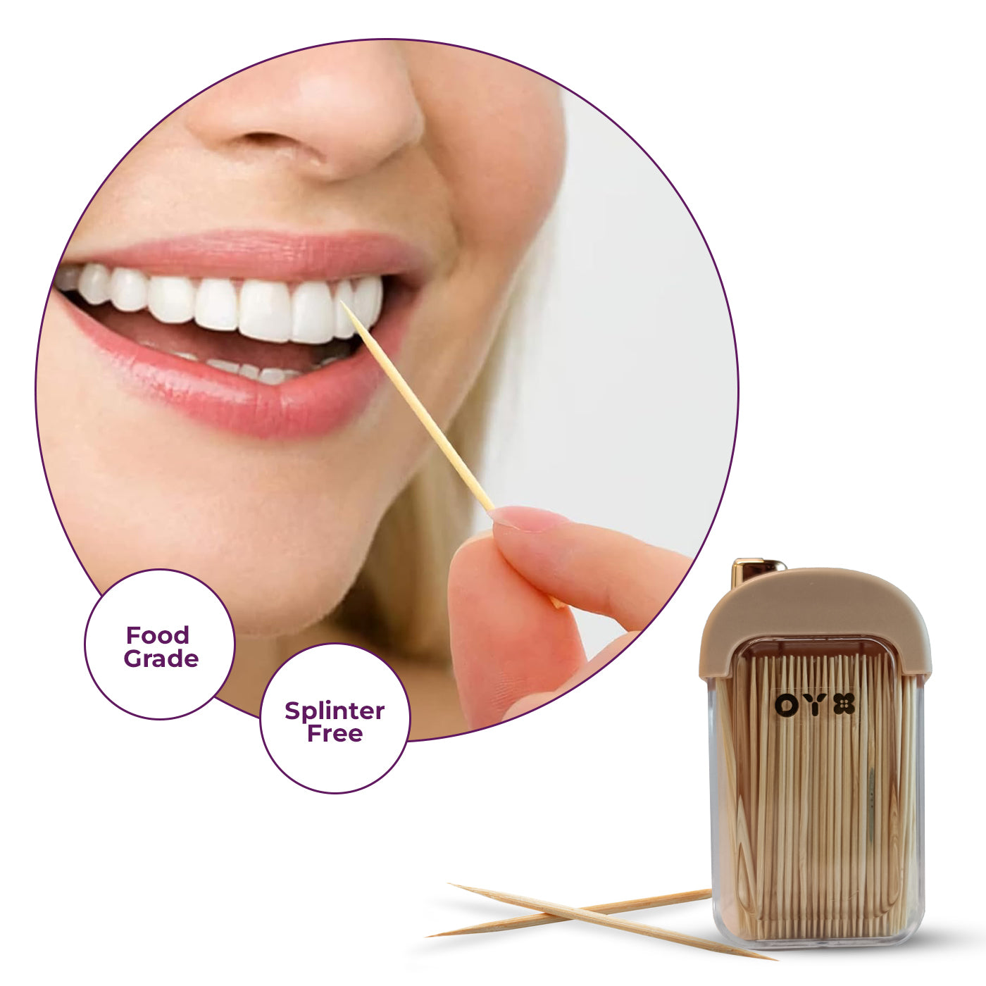 Plastic Toothpick Dispenser with 500 Toothpicks for Kitchen & Restaurant