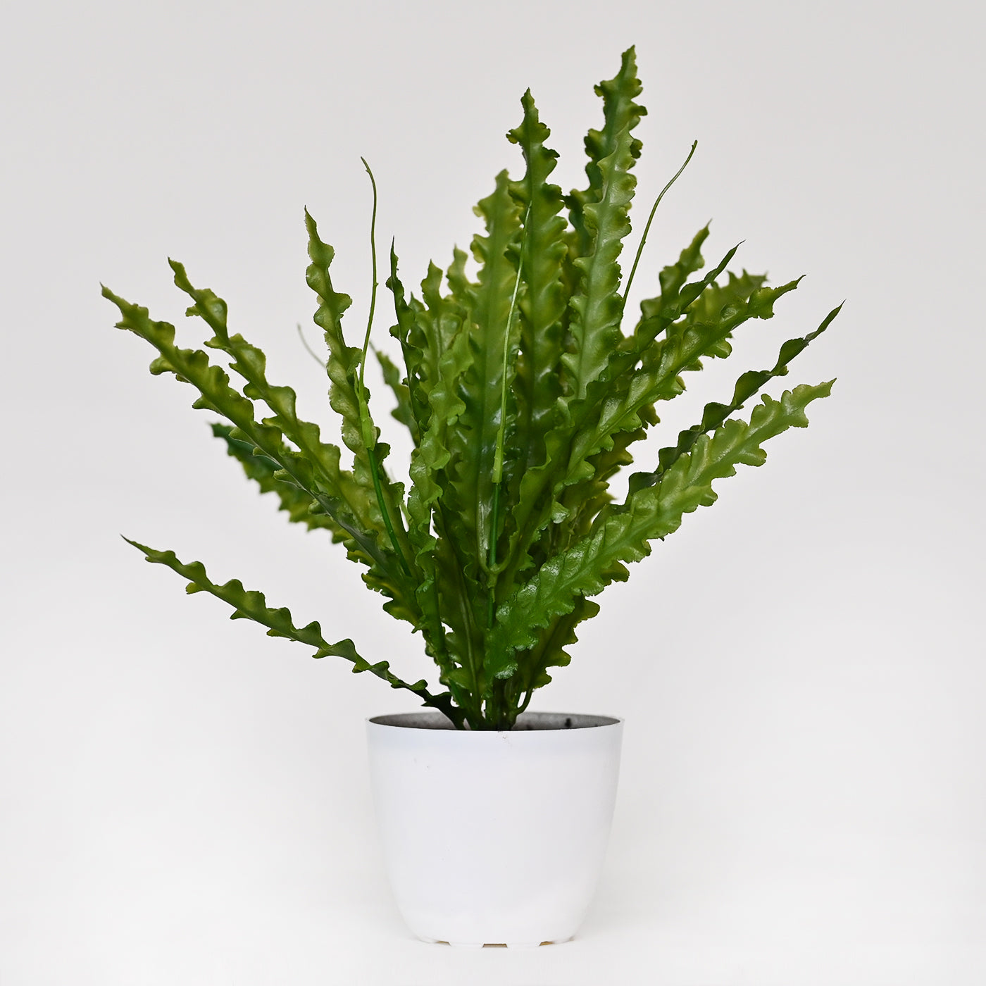 Set of 1 Artificial Plants with Pot