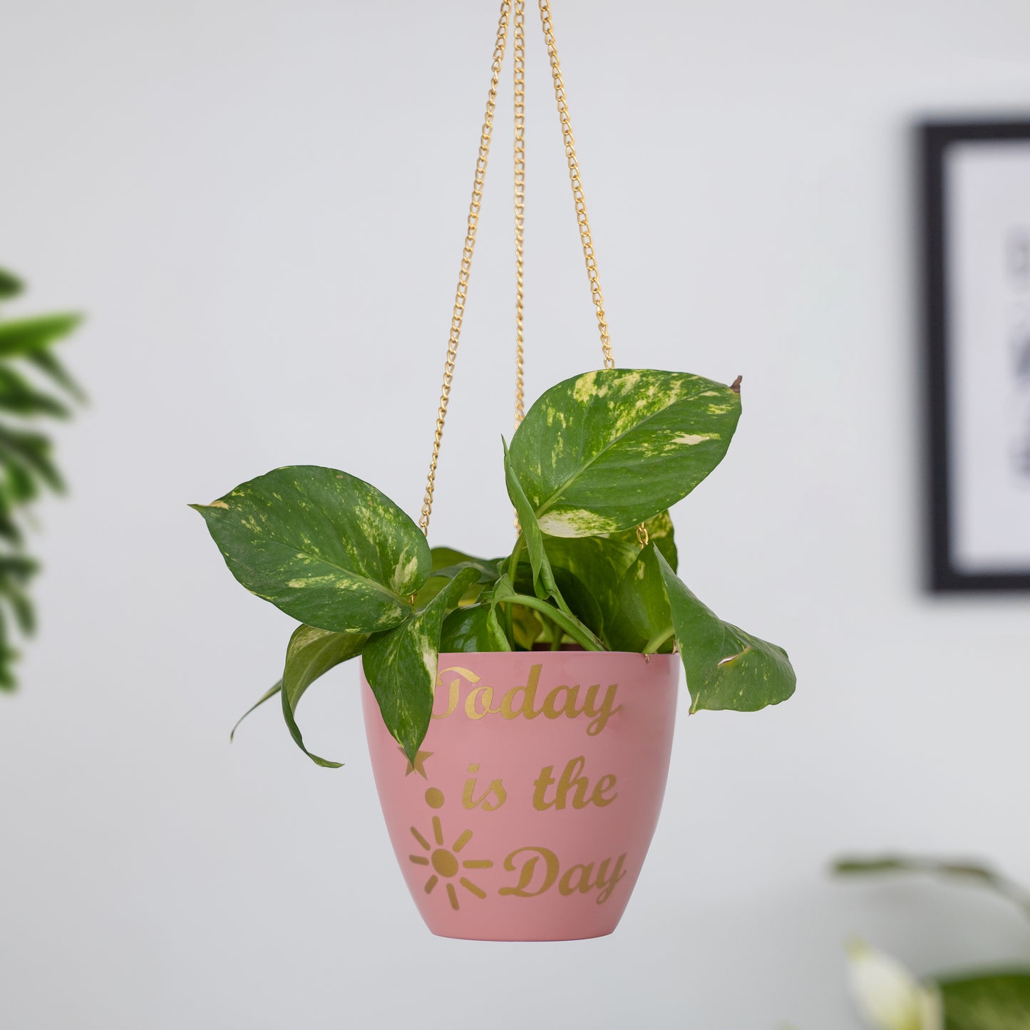 Metal Hanging Planter with Chain for Home & Office Decor