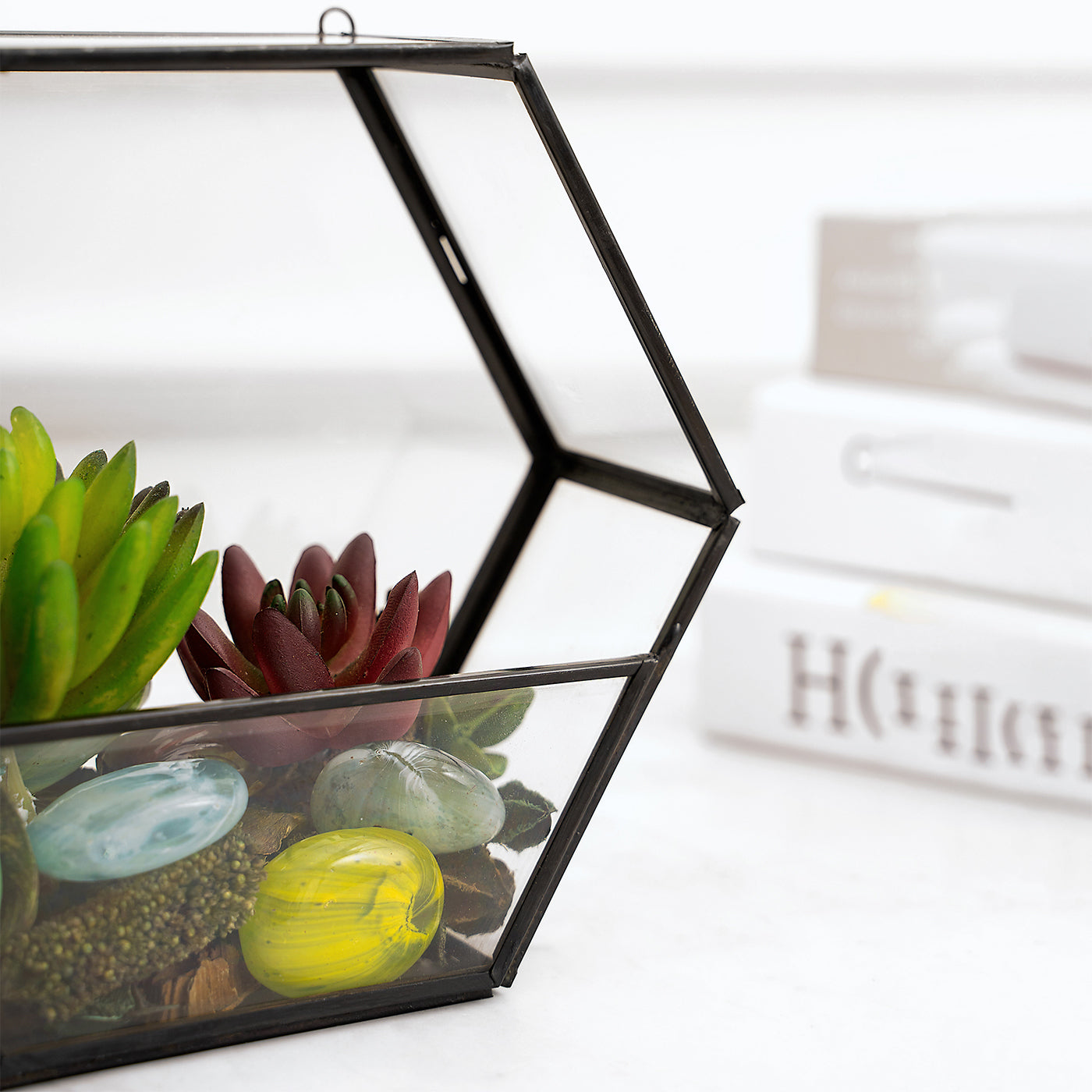 Glass Terrarium Vase