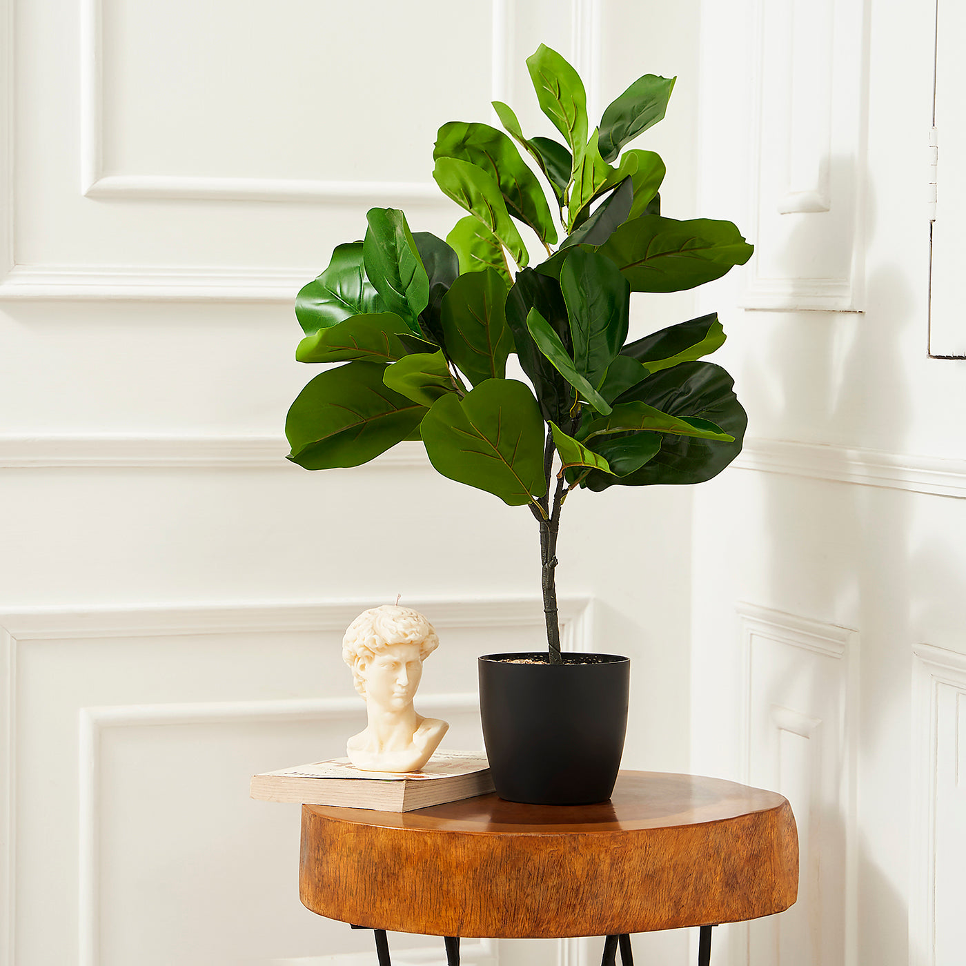 Artificial Fiddle-Leaf Fig Plant for Home and Office Decor Gifting Natural Looking Indoor and Outdoor Ornamental Plant for Interior Balcony Decoration (With Pot)