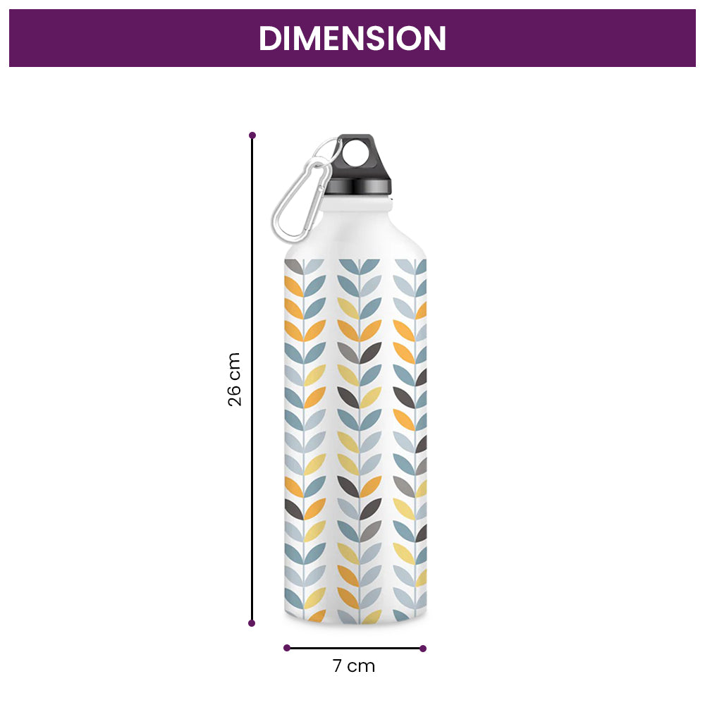 Stainless Steel Water Bottle for Men & Women & Kids