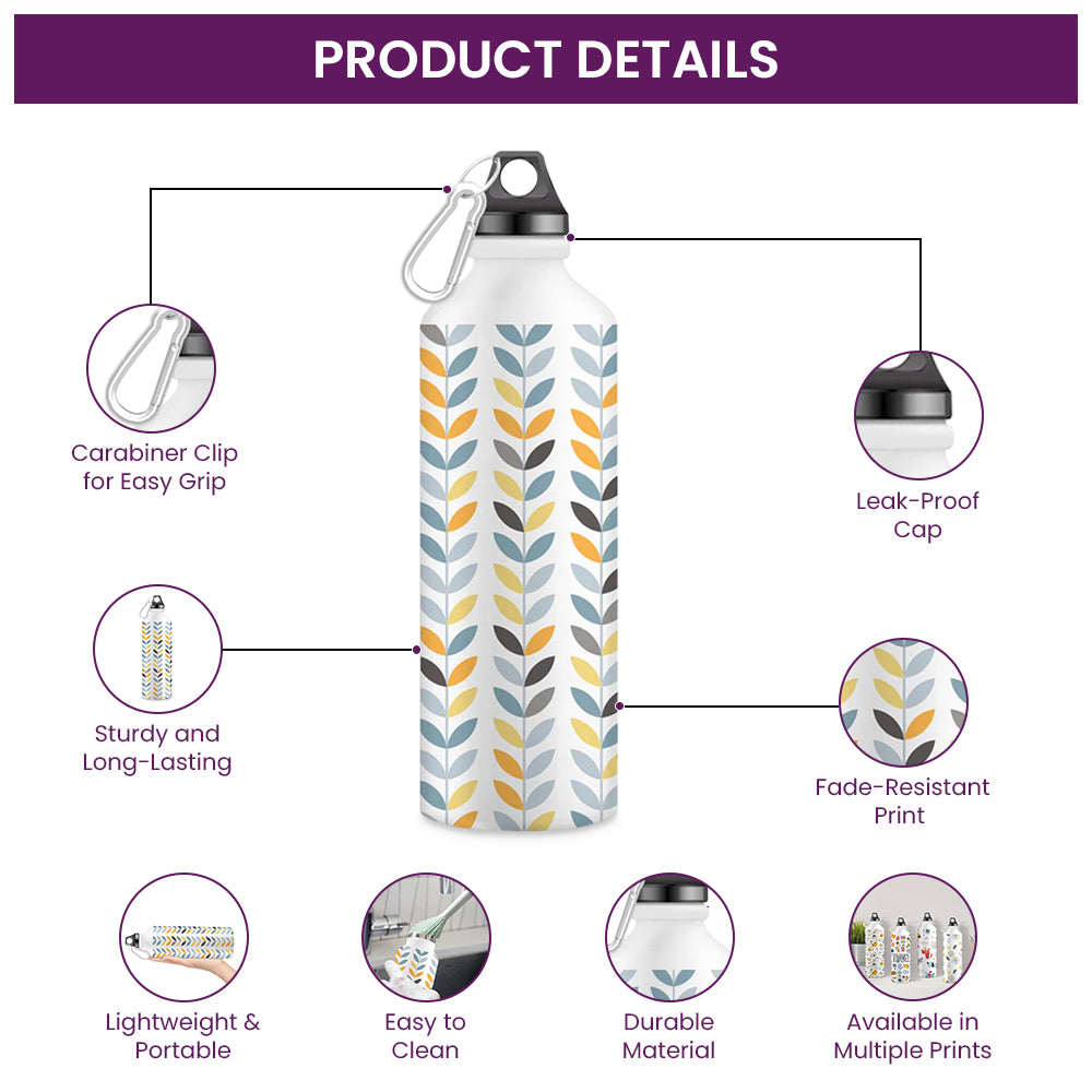 Stainless Steel Water Bottle for Men & Women & Kids