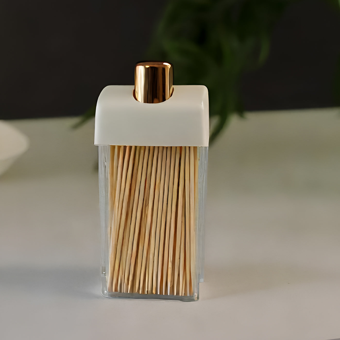 Plastic Toothpick Dispenser with 500 Toothpicks for Kitchen & Restaurant (White)
