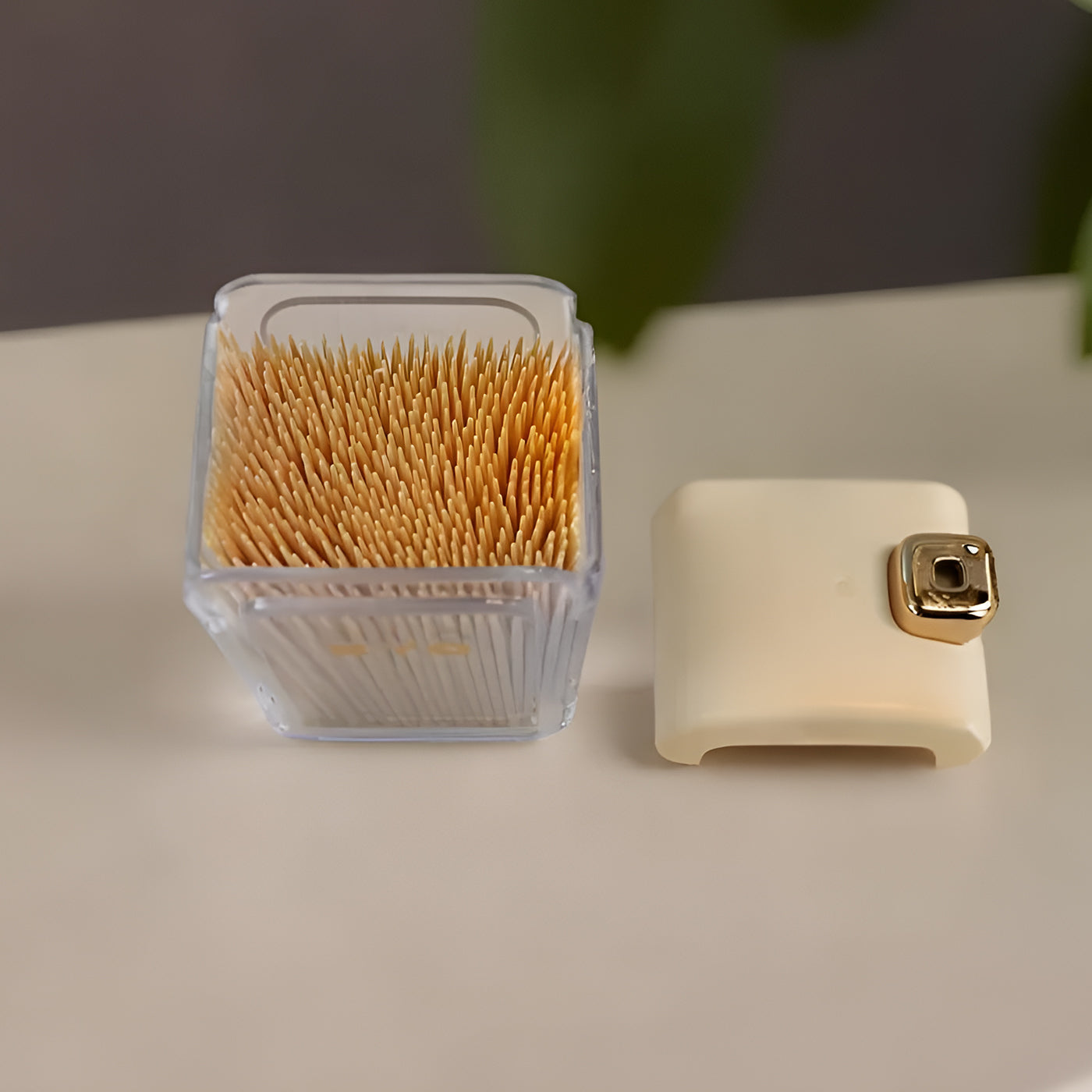 Plastic Toothpick Dispenser with 500 Toothpicks for Kitchen & Restaurant (White)
