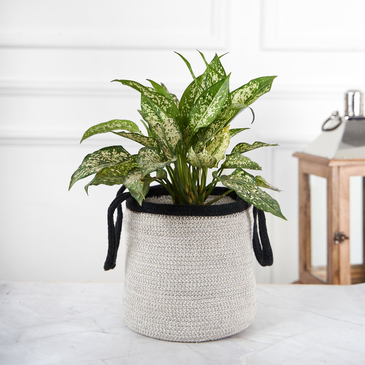 Designer Grey & Black Braided Cotton Planter/Basket With Handle