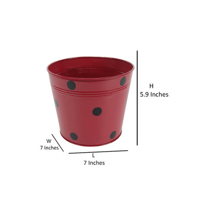 Metal Dotted Planters Pot Set of 3