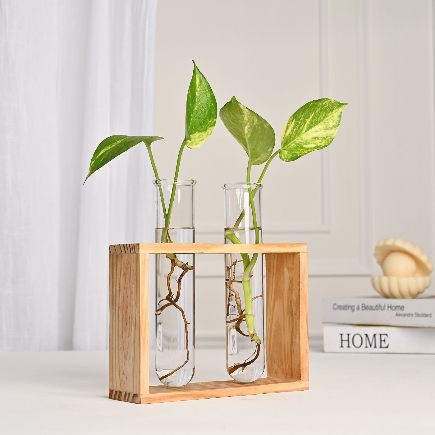 Rectangular Test Tube Vase