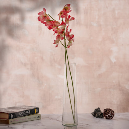 RISE Transparent Glass Vase For Flowers, Plants, Living Room Home Decor