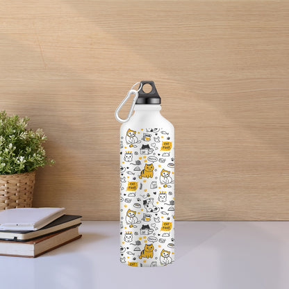 Stainless Steel Water Bottle for Men & Women & Kids