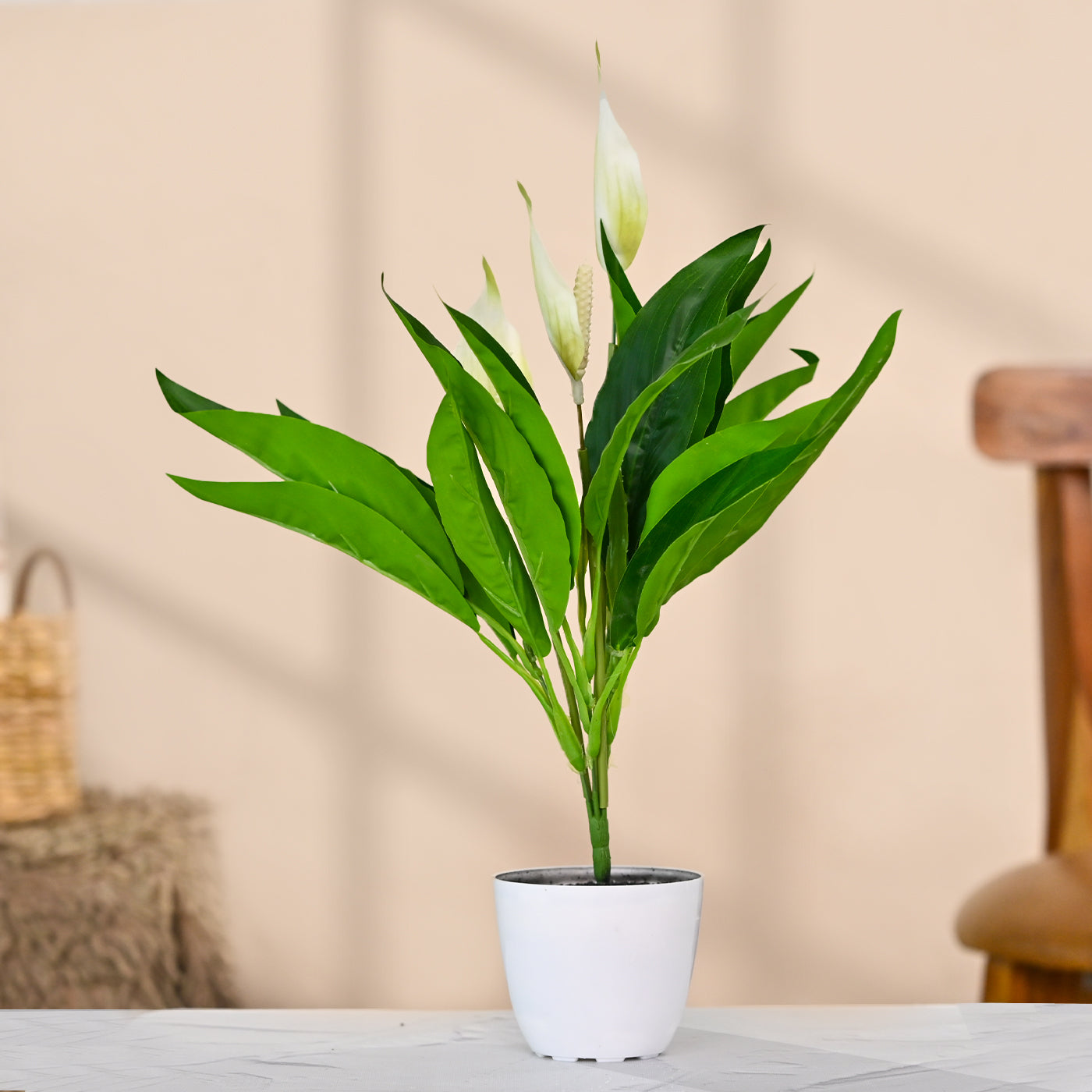 Set of 1 Artificial Plants with Pot