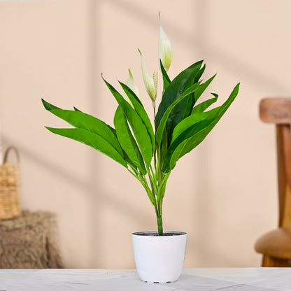 Set of 1 Artificial Plants with Pot