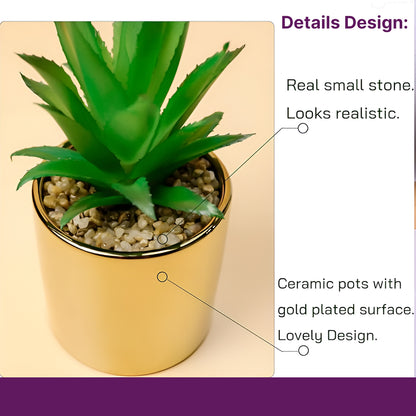 Succulent Plant with Pot for Indoor and Outdoor | Plants Flowerpot Succulent Pots | Planter for Office, Balcony and Home Decoration Items ( 9.5 x 9.5 x 16cm)