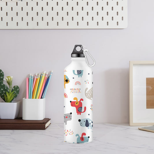 Stainless Steel Water Bottle for Men & Women & Kids