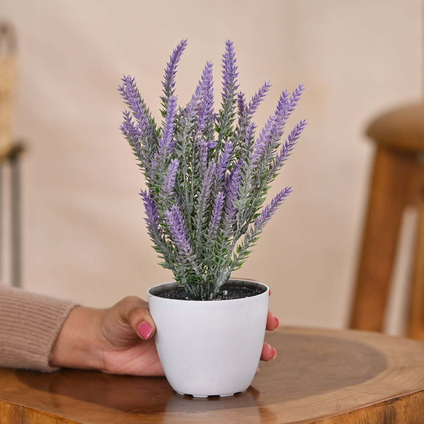 Set of 1 Artificial Plants with Pot