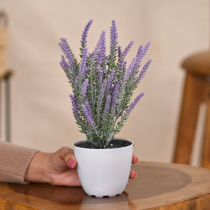 Set of 1 Artificial Plants with Pot