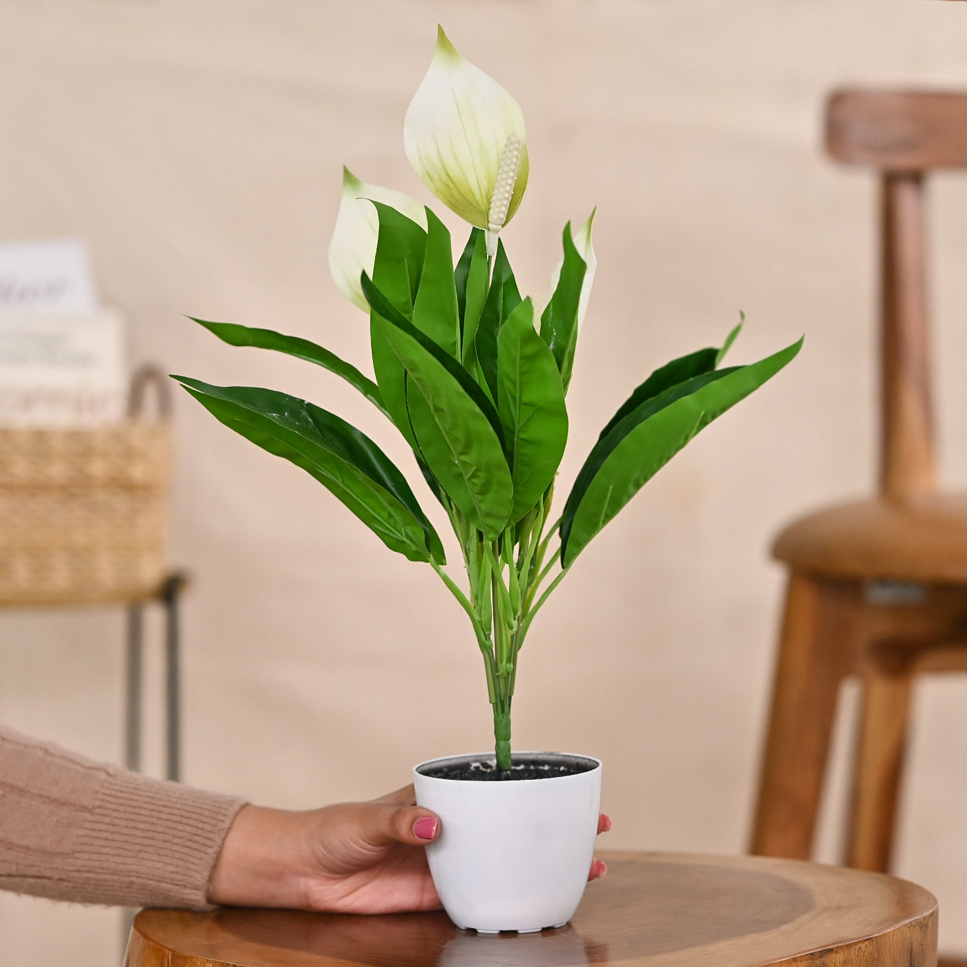 Set of 1 Artificial Plants with Pot