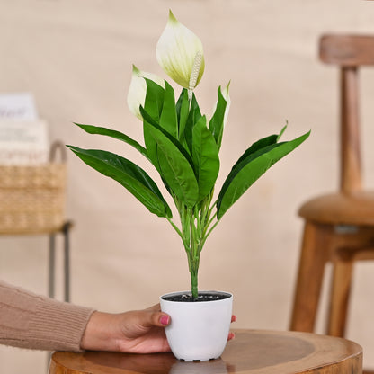 Set of 1 Artificial Plants with Pot