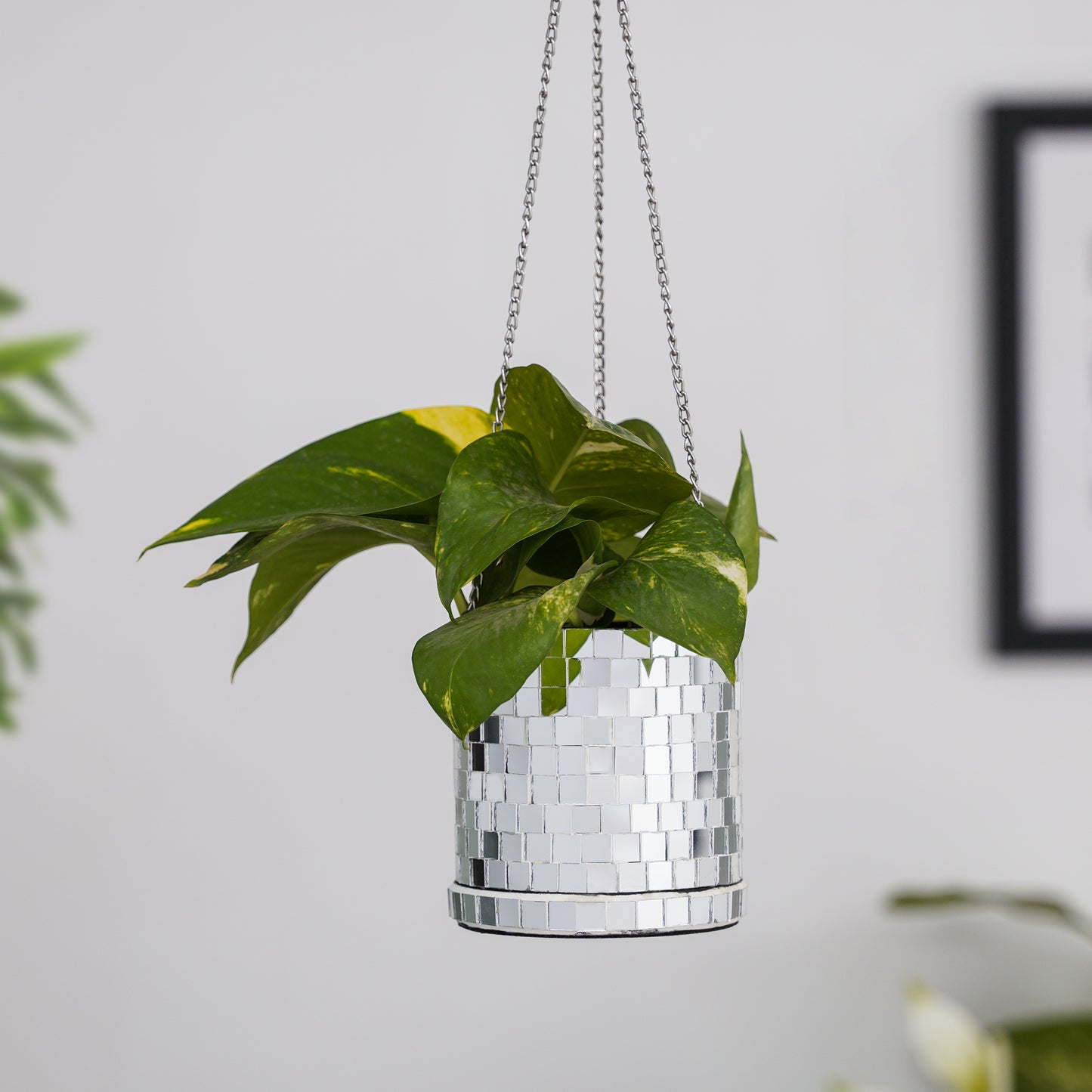 DISCO Cylindrical Metal Hanging Silver Planter with Chain for Home & Office Decor