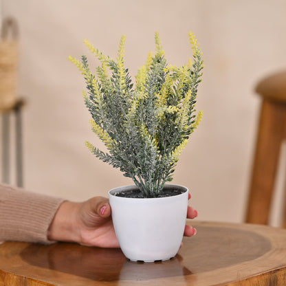 Set of 1 Artificial Plants with Pot