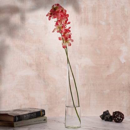 RISE Transparent Glass Vase For Flowers, Plants, Living Room Home Decor