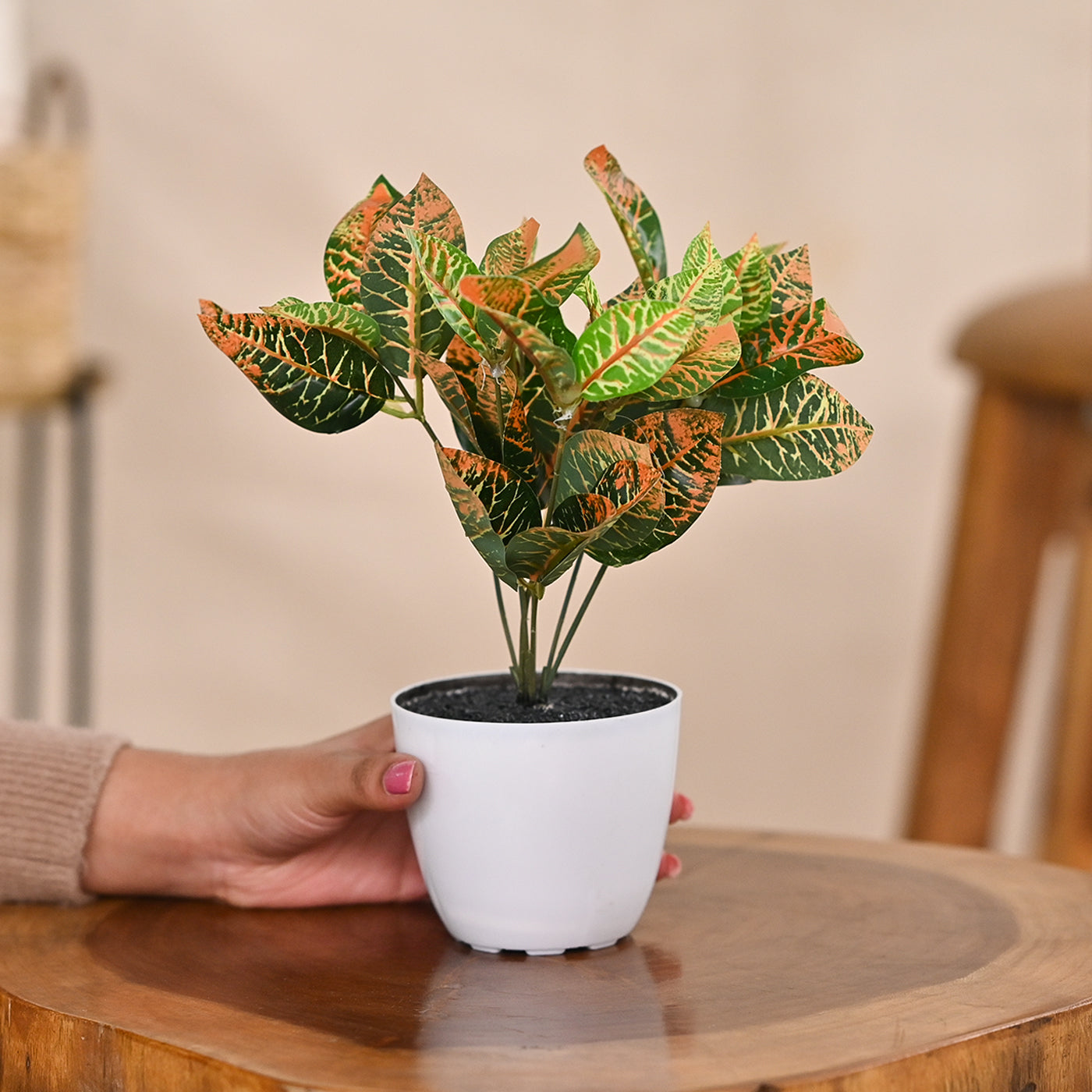 Set of 1 Artificial Plants with Pot