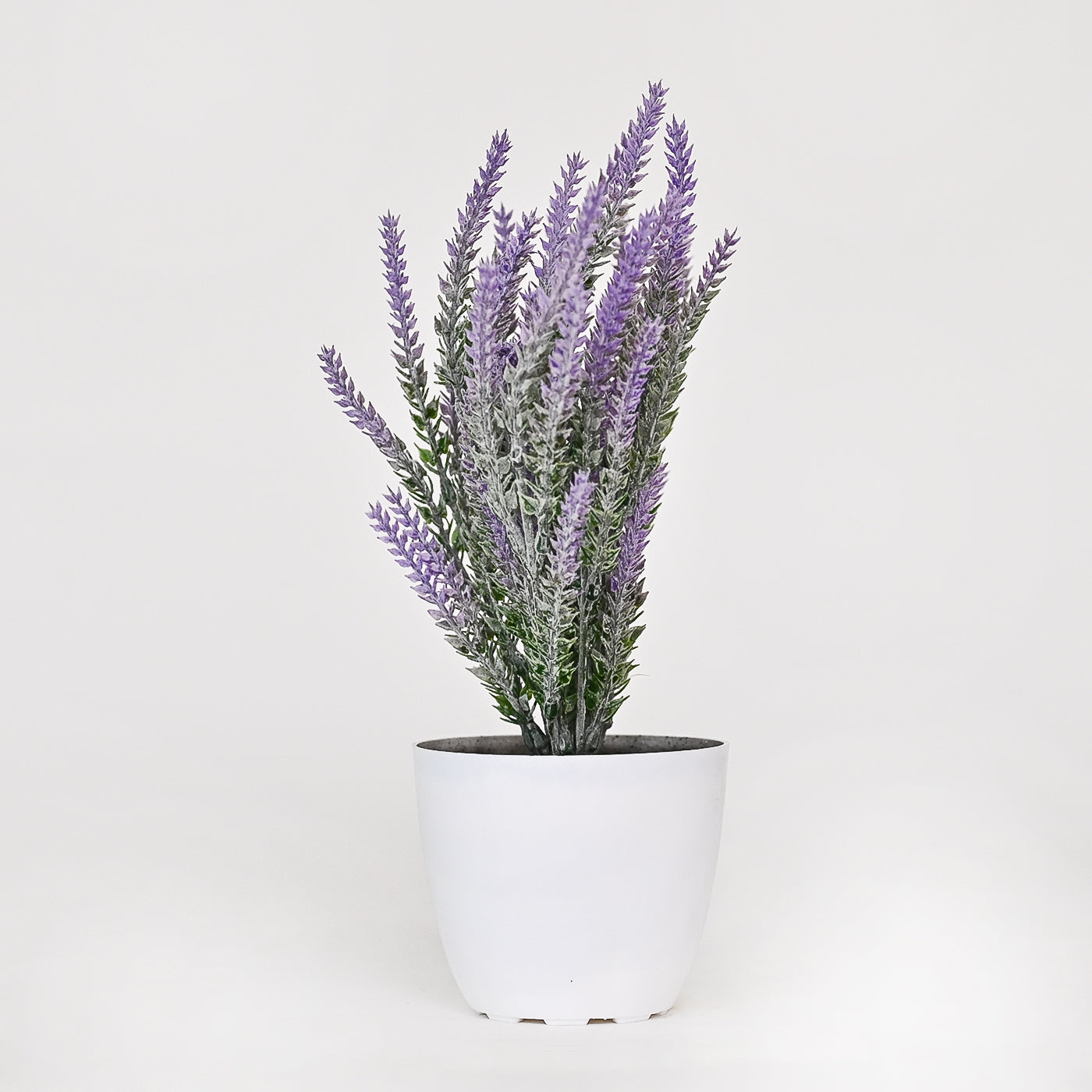 Set of 1 Artificial Plants with Pot