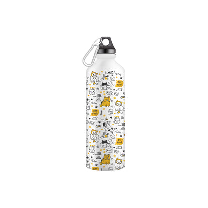 Stainless Steel Water Bottle for Men & Women & Kids