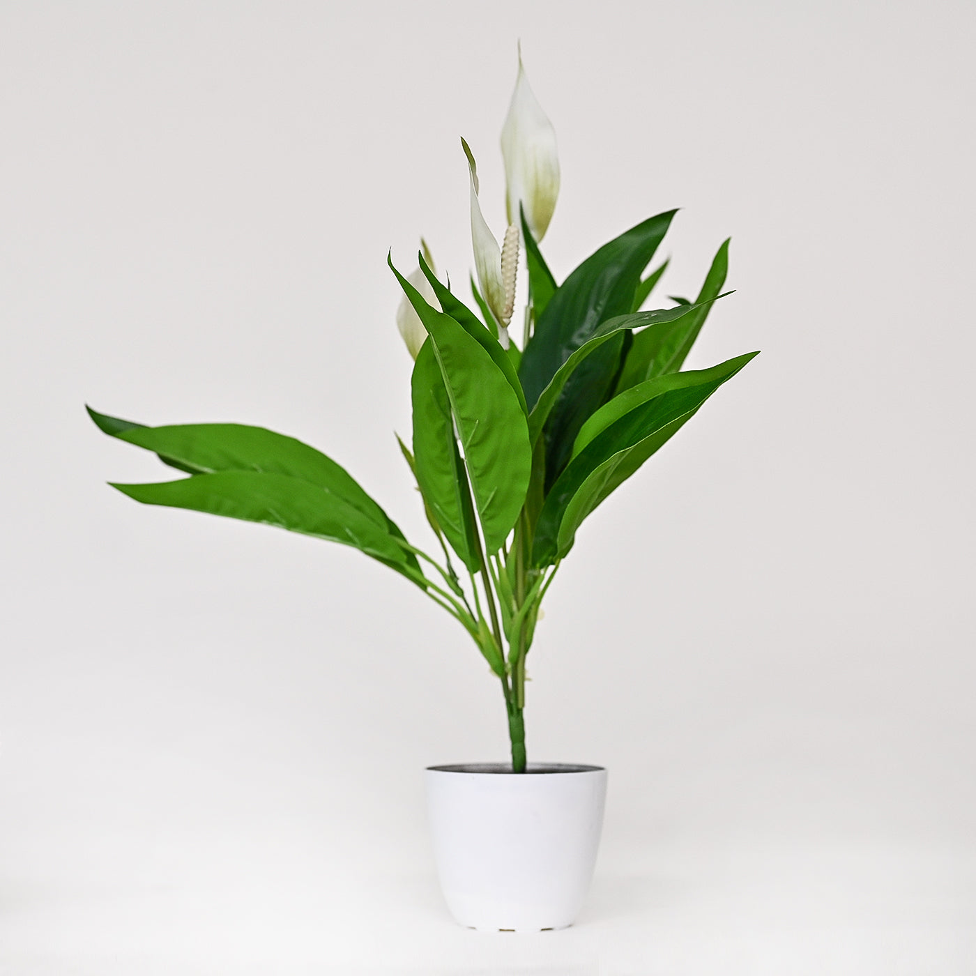 Set of 1 Artificial Plants with Pot