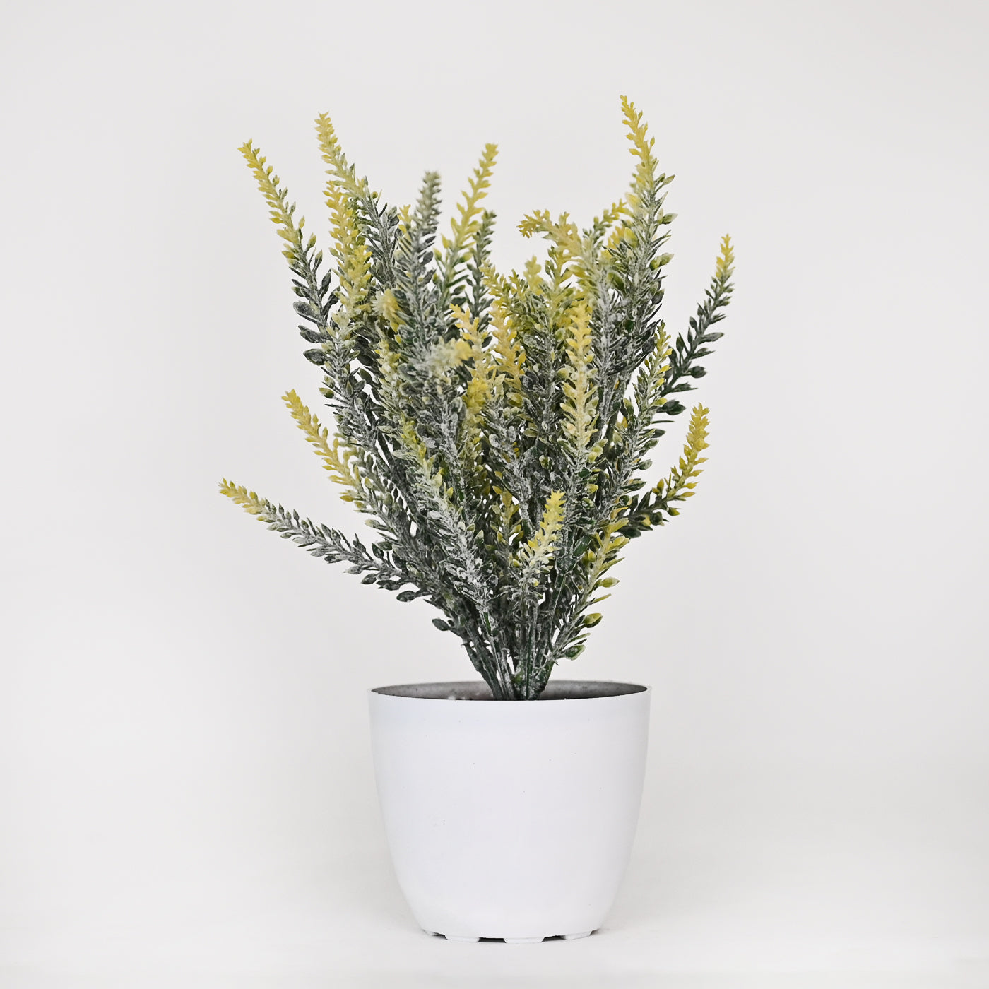 Set of 1 Artificial Plants with Pot