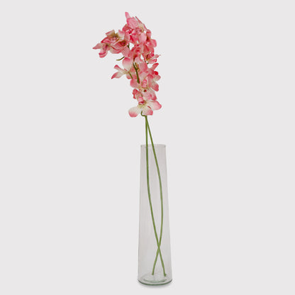 RISE Transparent Glass Vase For Flowers, Plants, Living Room Home Decor