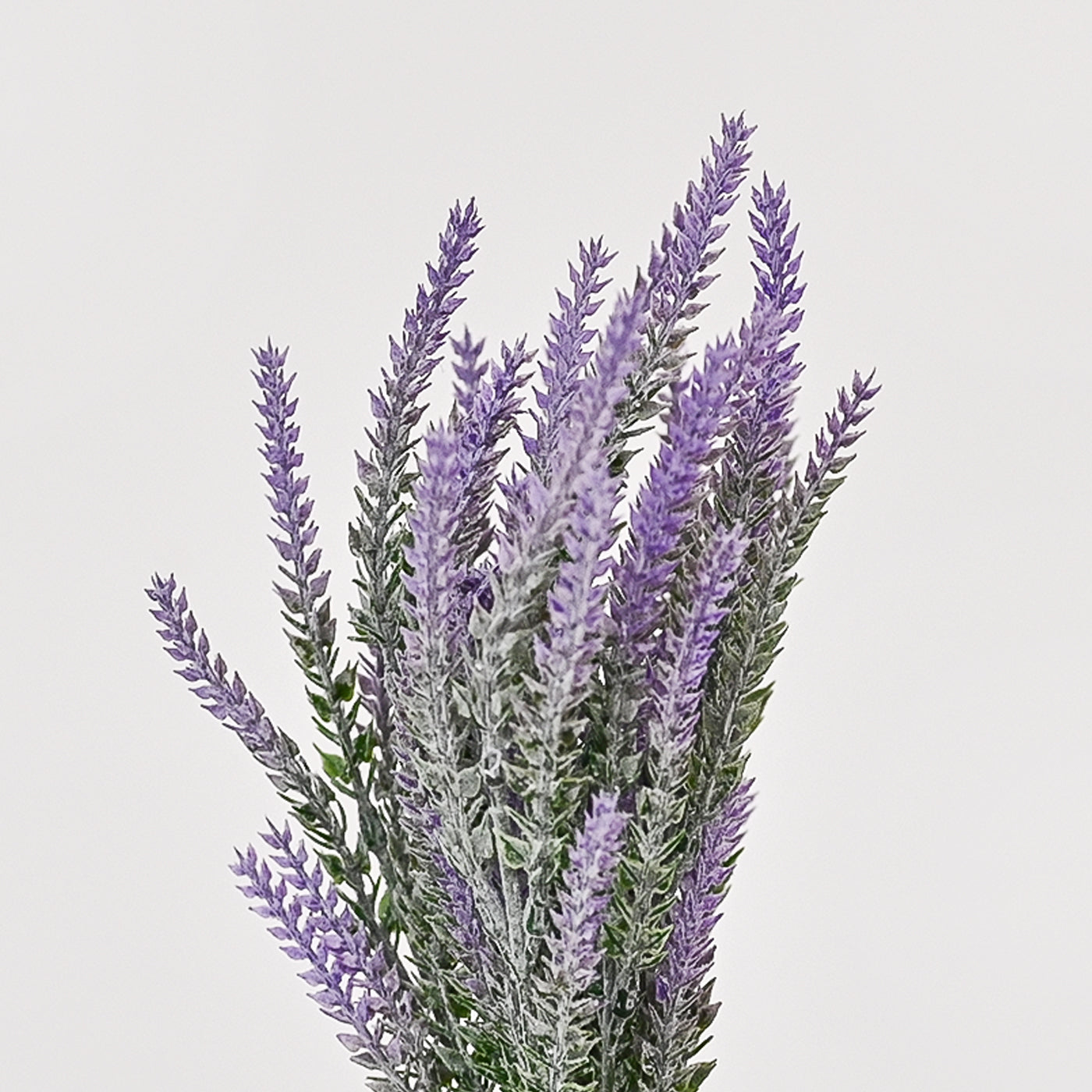 Set of 1 Artificial Plants with Pot