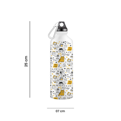 Stainless Steel Water Bottle for Men & Women & Kids