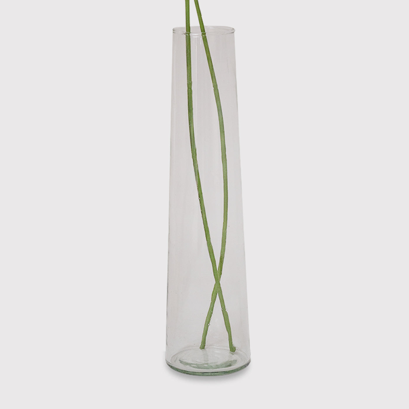 RISE Transparent Glass Vase For Flowers, Plants, Living Room Home Decor