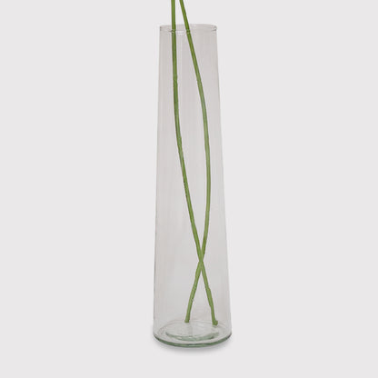 RISE Transparent Glass Vase For Flowers, Plants, Living Room Home Decor