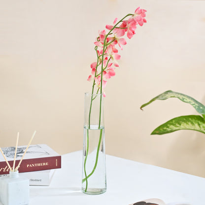 RISE Transparent Glass Vase For Flowers, Plants, Living Room Home Decor