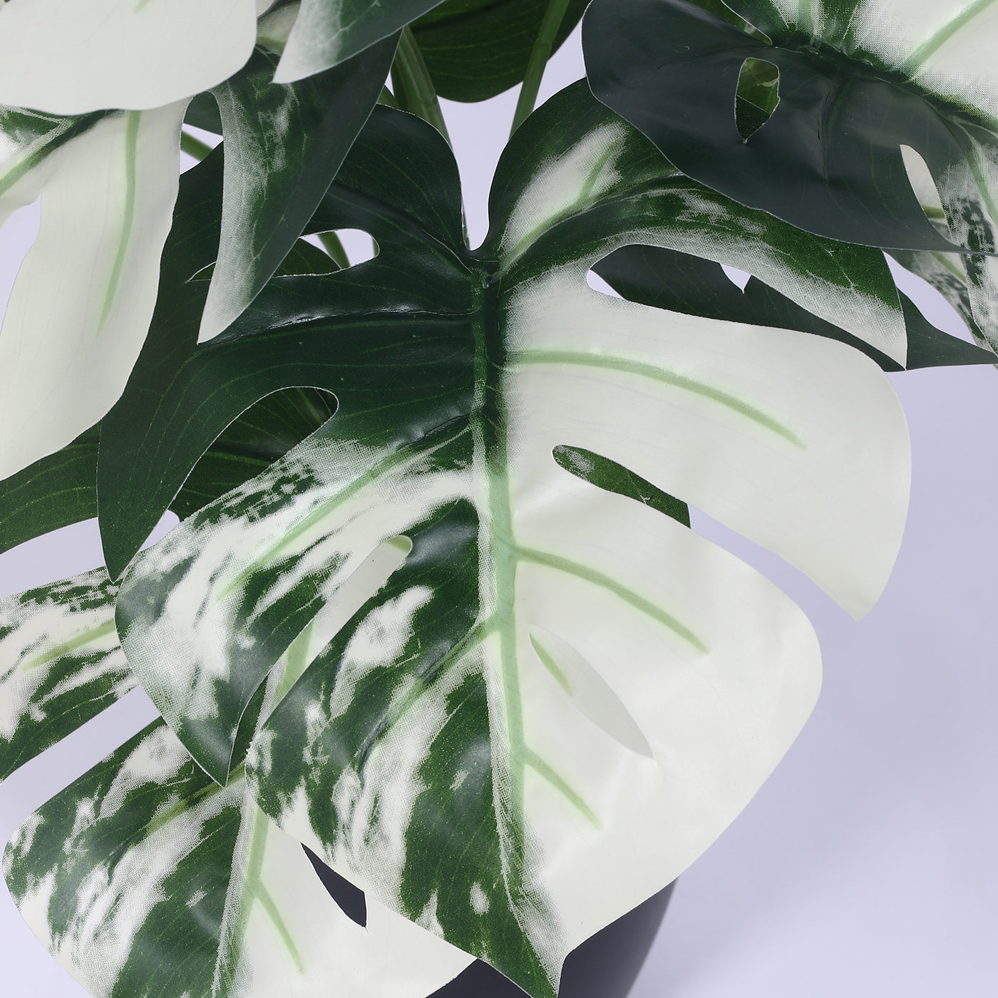 Artificial PVC Monstera Big Leaves Plants for Indoor & Outdoor with pot (12 Leaves, 55 cm Tall, Multicolor)