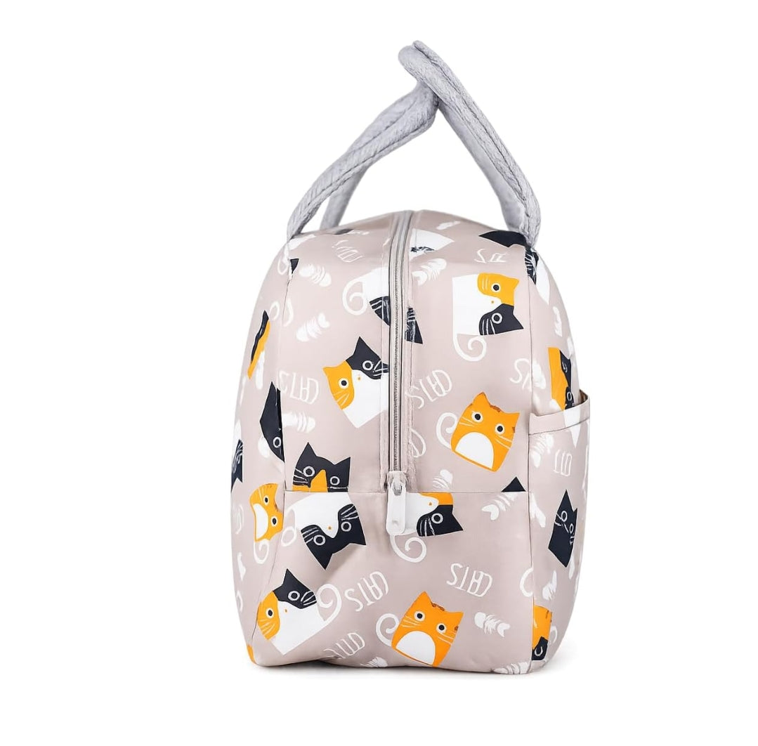 DecorTwist Insulated Lunch Bag for Office & School | Reusable Fabric Tiffin Carry Bag | Lightweight & Leak Resistant