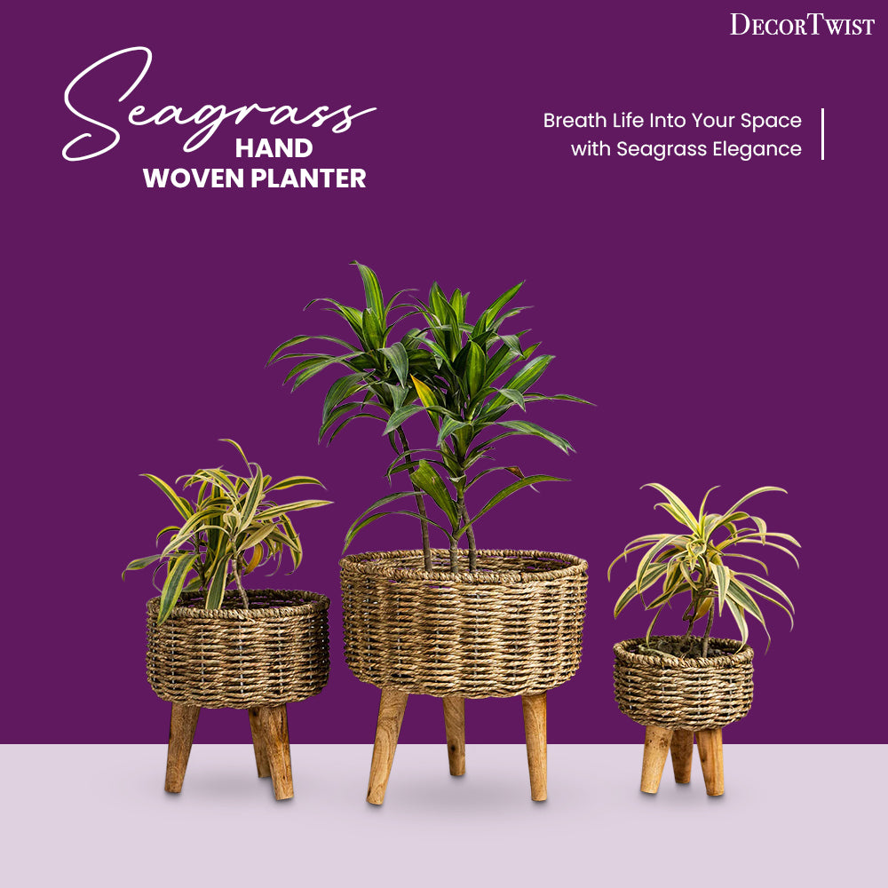 Natural Seagrass Hand Woven Planter (Set of 2)