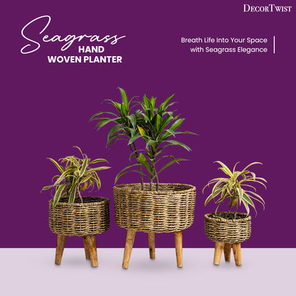 Natural Seagrass Hand Woven Planter (Set of 2)