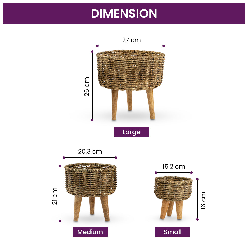 Natural Seagrass Hand Woven Planter (Set of 2)