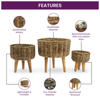 Natural Seagrass Hand Woven Planter (Set of 2)