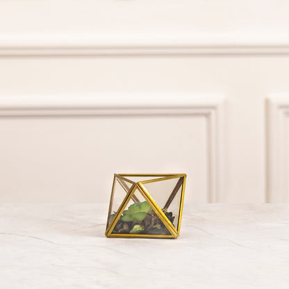 Geometric Glass Terrarium for Succulent