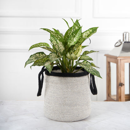 Designer Grey & Black Braided Cotton Planter/Basket With Handle